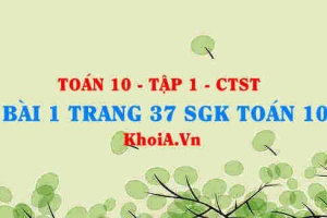 Bài 1 trang 37 SGK Toán 10 tập 1 Chân trời sáng tạo